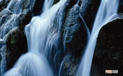 三文鱼生吃好吃还是熟的 三文鱼熟吃