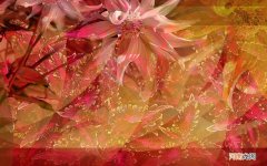 空腹血糖136的糖尿病严不严重 血糖21是糖尿病吗