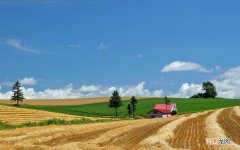 咳嗽干咳吃什么食物好 咳嗽能吃什么菜家常的