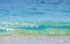 霍山石斛怎么炖汤 胆固醇高十大饮食禁忌霍山石斛