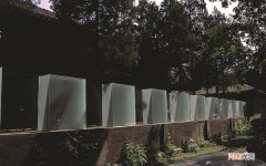 印度饮料十大排行榜 酸奶的排名