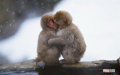 中年男人早餐吃什么最好 男生必学菜谱