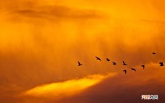 女生说一个人的小宵夜怎么回 女朋友说想吃夜宵该怎么回答