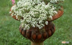 怎样喝柠檬水才可以减肥 睡前喝柠檬水能减肥吗