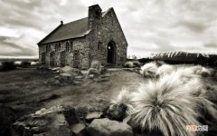 芒果汁加伏特加怎么做 喝了蜂蜜水可以吃芒果吗