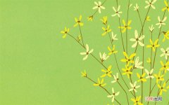 富德生命人寿保险公司的信誉度怎样 富德生命人寿保险公司可靠吗